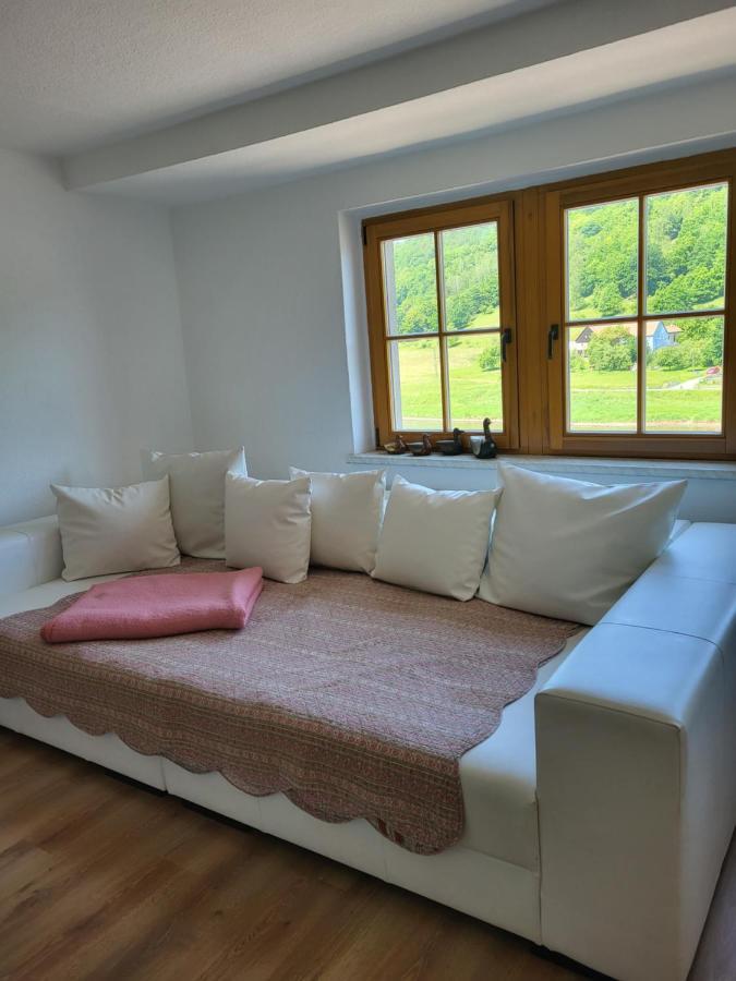 Appartement Elbblick à Königstein Extérieur photo