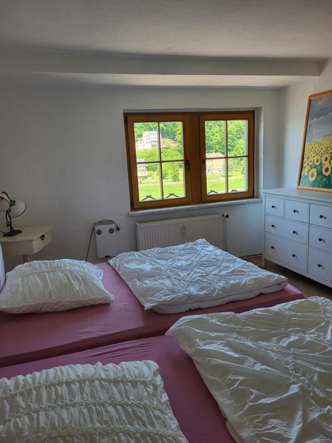 Appartement Elbblick à Königstein Extérieur photo
